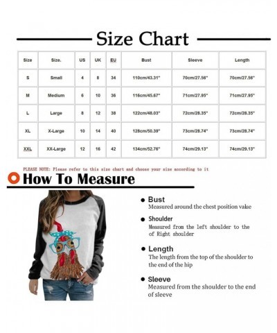 Womens Oversized Sweatshirts Fashion Long Sleeve Tops Casual Crewneck Pullover Cute Graphic Loose Fit Hoodies Blouse A01wine ...