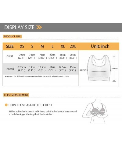 Women's Racerback Sports Bras High Impact Workout Yoga Gym Fitness Bra Plus Size Padded Bras for Running Activewear Elephants...