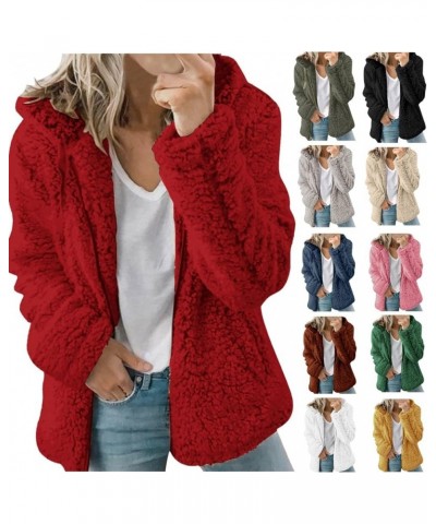 Fleece Jacket Women Fuzzy Zip Up Coats Oversized Winter Warm Sweatshirt Sherpa Teddy Coat Loose Casual Hoodies 2023 02fleece ...