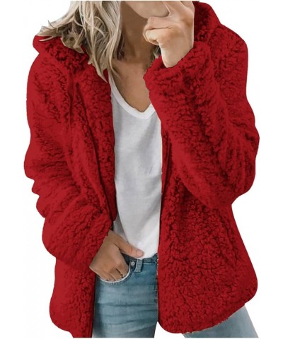 Fleece Jacket Women Fuzzy Zip Up Coats Oversized Winter Warm Sweatshirt Sherpa Teddy Coat Loose Casual Hoodies 2023 02fleece ...